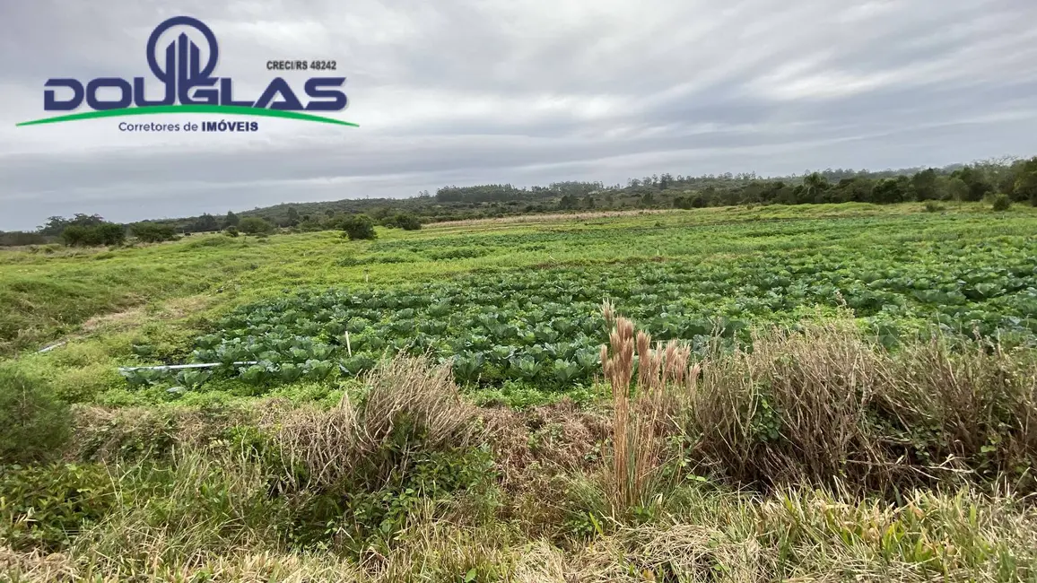 Foto 7 de Chácara à venda em Viamao - RS