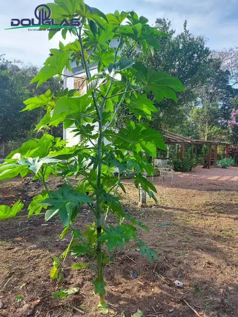 Foto 9 de Casa com 1 quarto à venda, 600m2 em Viamao - RS
