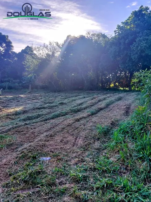 Foto 1 de Terreno / Lote à venda, 595m2 em Viamao - RS