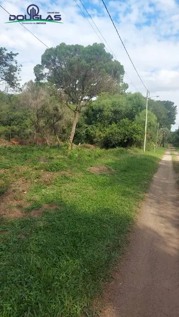 Terreno / Lote à venda, 2000m2 em Viamao - RS - imagem 4 Foto 4 de Terreno / Lote à venda, 2000m2 em Viamao - RS