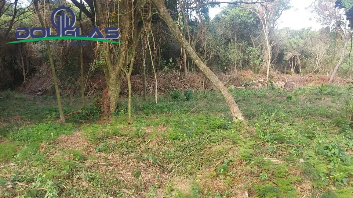 Terreno / Lote à venda, 2000m2 em Viamao - RS - imagem 3 Foto 3 de Terreno / Lote à venda, 2000m2 em Viamao - RS