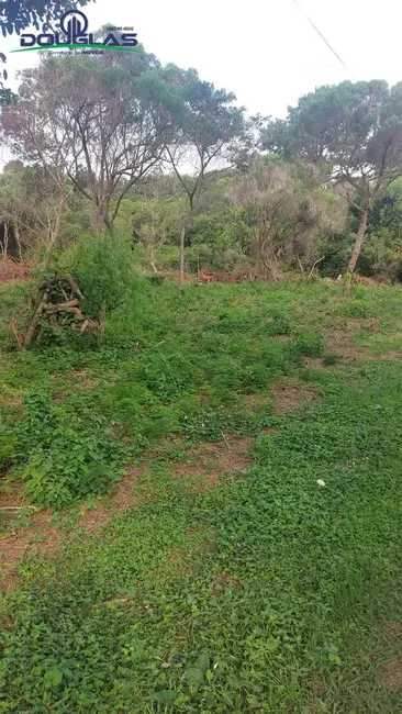 Terreno / Lote à venda, 2000m2 em Viamao - RS - imagem 1 Foto 1 de Terreno / Lote à venda, 2000m2 em Viamao - RS