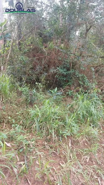 Foto 5 de Terreno / Lote à venda em Viamao - RS