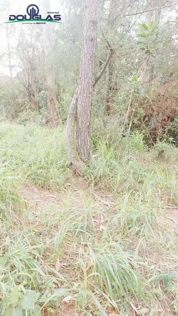 Foto 3 de Terreno / Lote à venda em Viamao - RS