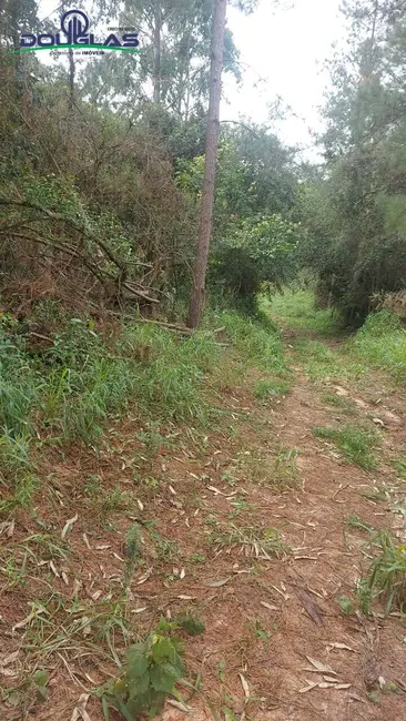 Foto 4 de Terreno / Lote à venda em Viamao - RS