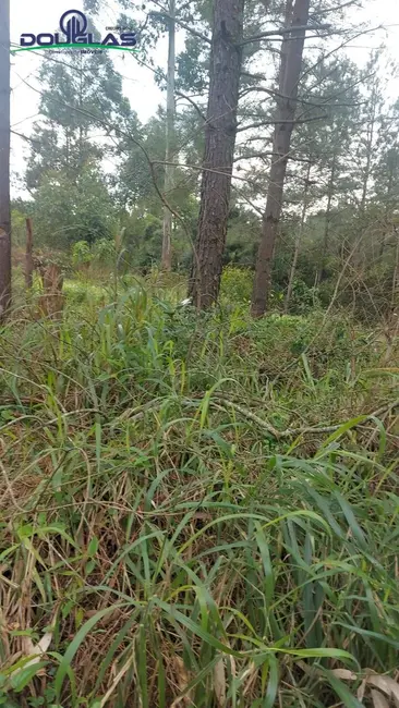 Foto 1 de Terreno / Lote à venda em Viamao - RS