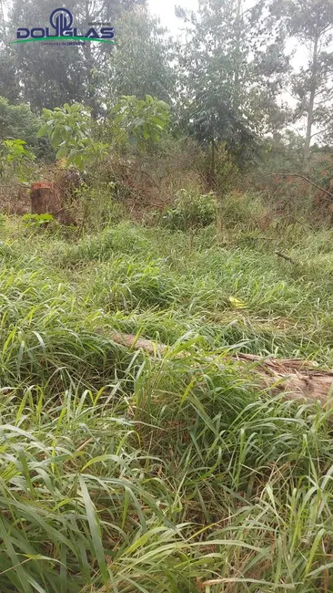 Foto 8 de Terreno / Lote à venda em Viamao - RS