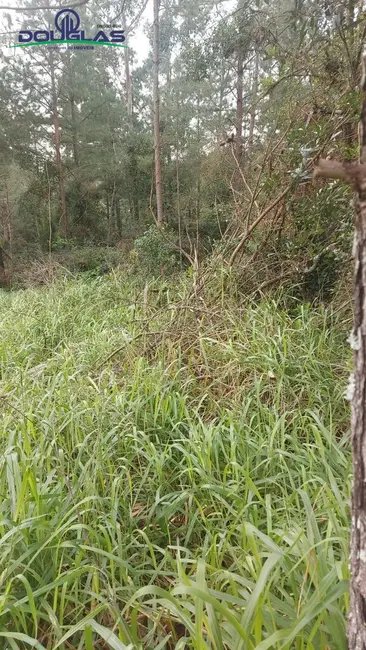 Foto 7 de Terreno / Lote à venda em Viamao - RS