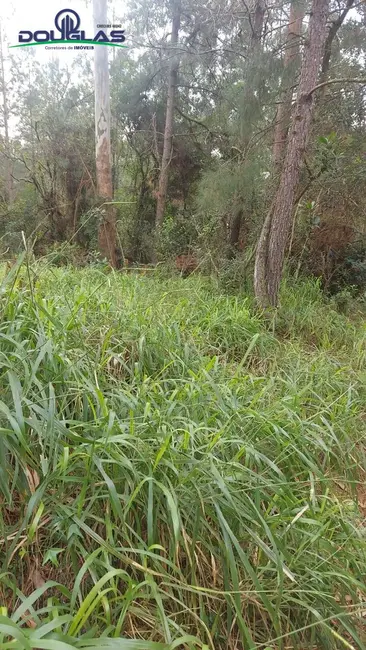 Foto 2 de Terreno / Lote à venda em Viamao - RS