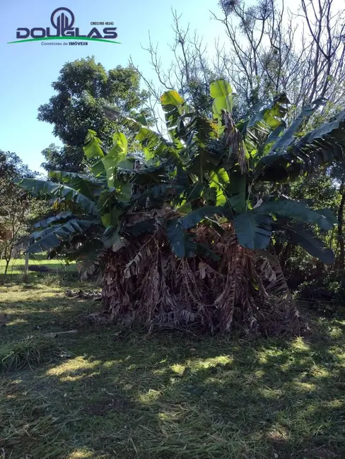 Foto 6 de Terreno / Lote à venda, 615m2 em Viamao - RS