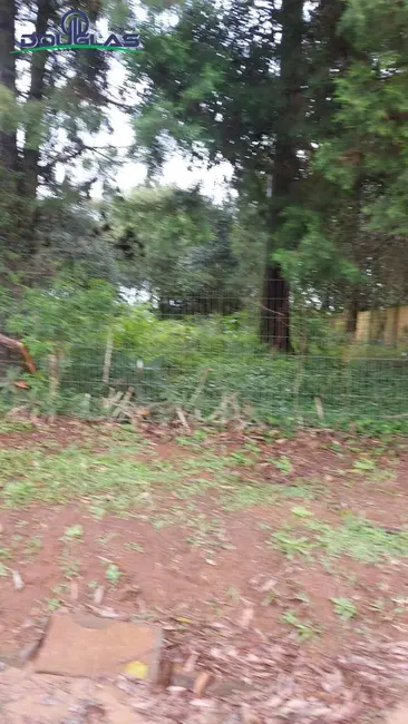 Foto 8 de Terreno / Lote à venda, 600m2 em Viamao - RS