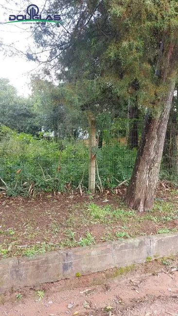 Foto 2 de Terreno / Lote à venda, 600m2 em Viamao - RS