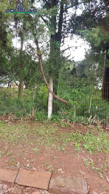 Foto 7 de Terreno / Lote à venda, 600m2 em Viamao - RS