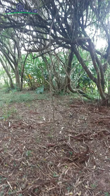 Foto 7 de Terreno / Lote à venda em Viamao - RS