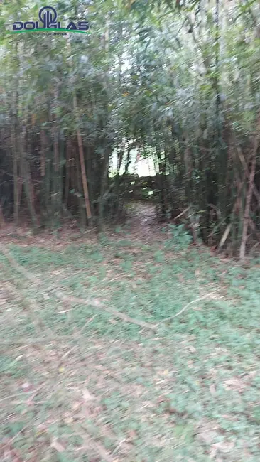 Foto 6 de Terreno / Lote à venda em Viamao - RS