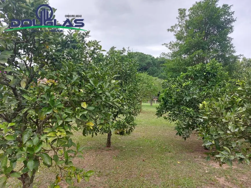 Terreno / Lote à venda em Viamao - RS - imagem 7 Foto 7 de Terreno / Lote à venda em Viamao - RS