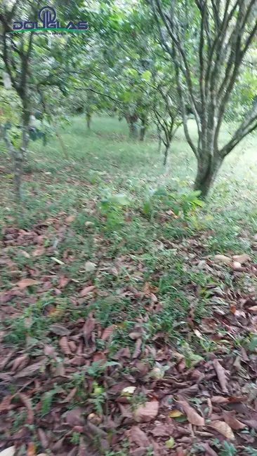 Casa com 1 quarto à venda em Viamao - RS - imagem 8 Foto 8 de Casa com 1 quarto à venda em Viamao - RS