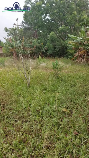 Terreno / Lote à venda, 600m2 em Viamao - RS - imagem 6 Foto 6 de Terreno / Lote à venda, 600m2 em Viamao - RS