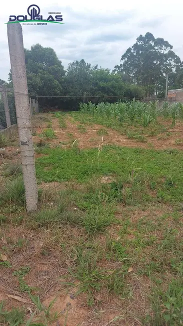 Foto 6 de Terreno / Lote à venda em Viamao - RS