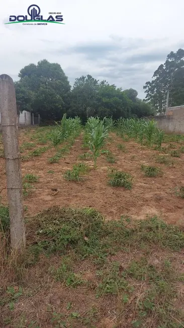 Foto 1 de Terreno / Lote à venda em Viamao - RS