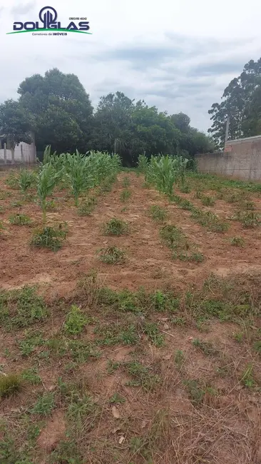Foto 3 de Terreno / Lote à venda em Viamao - RS