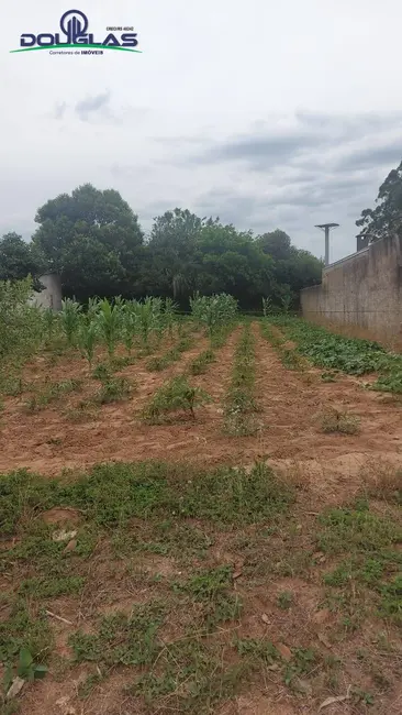 Foto 4 de Terreno / Lote à venda em Viamao - RS