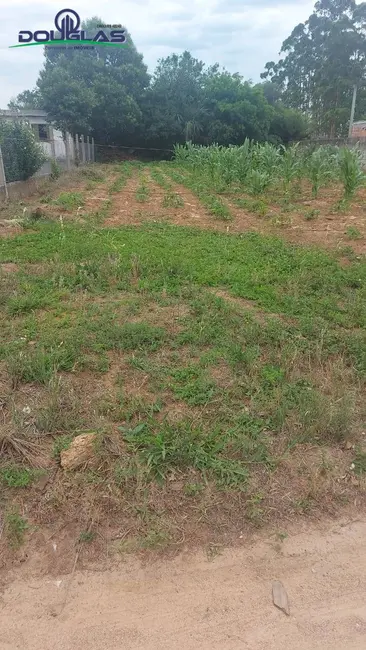 Foto 7 de Terreno / Lote à venda em Viamao - RS