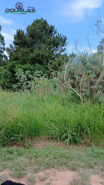 Foto 1 de Terreno / Lote para alugar, 550m2 em Viamao - RS