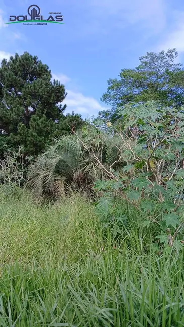 Foto 7 de Terreno / Lote à venda, 550m2 em Viamao - RS
