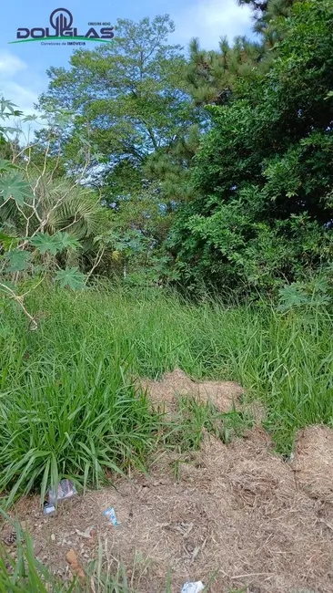 Foto 4 de Terreno / Lote à venda, 550m2 em Viamao - RS