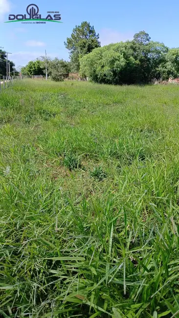 Terreno / Lote à venda, 1550m2 em Viamao - RS - imagem 8 Foto 8 de Terreno / Lote à venda, 1550m2 em Viamao - RS