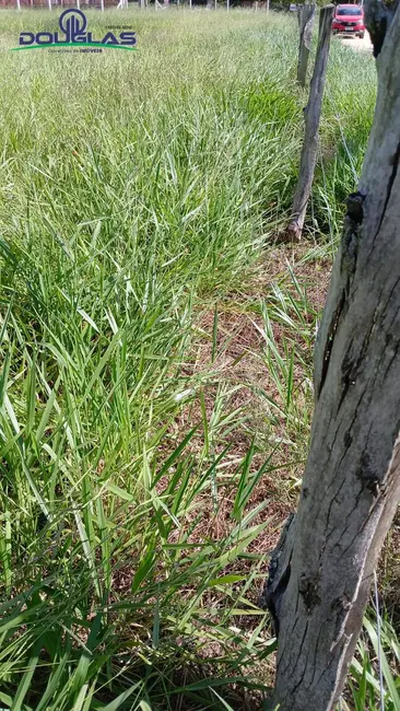 Terreno / Lote à venda, 1550m2 em Viamao - RS - imagem 5 Foto 5 de Terreno / Lote à venda, 1550m2 em Viamao - RS