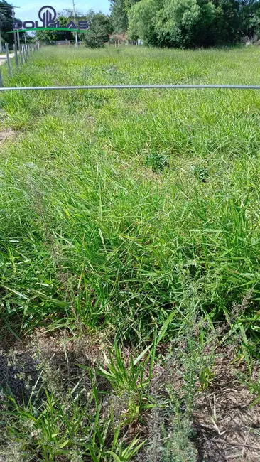 Terreno / Lote à venda, 1550m2 em Viamao - RS - imagem 6 Foto 6 de Terreno / Lote à venda, 1550m2 em Viamao - RS