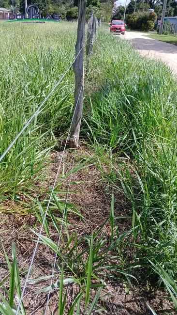 Terreno / Lote à venda, 1550m2 em Viamao - RS - imagem 4 Foto 4 de Terreno / Lote à venda, 1550m2 em Viamao - RS