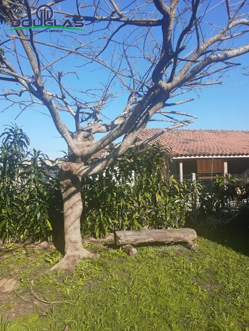 Foto 5 de Casa com 2 quartos à venda, 60m2 em Viamao - RS