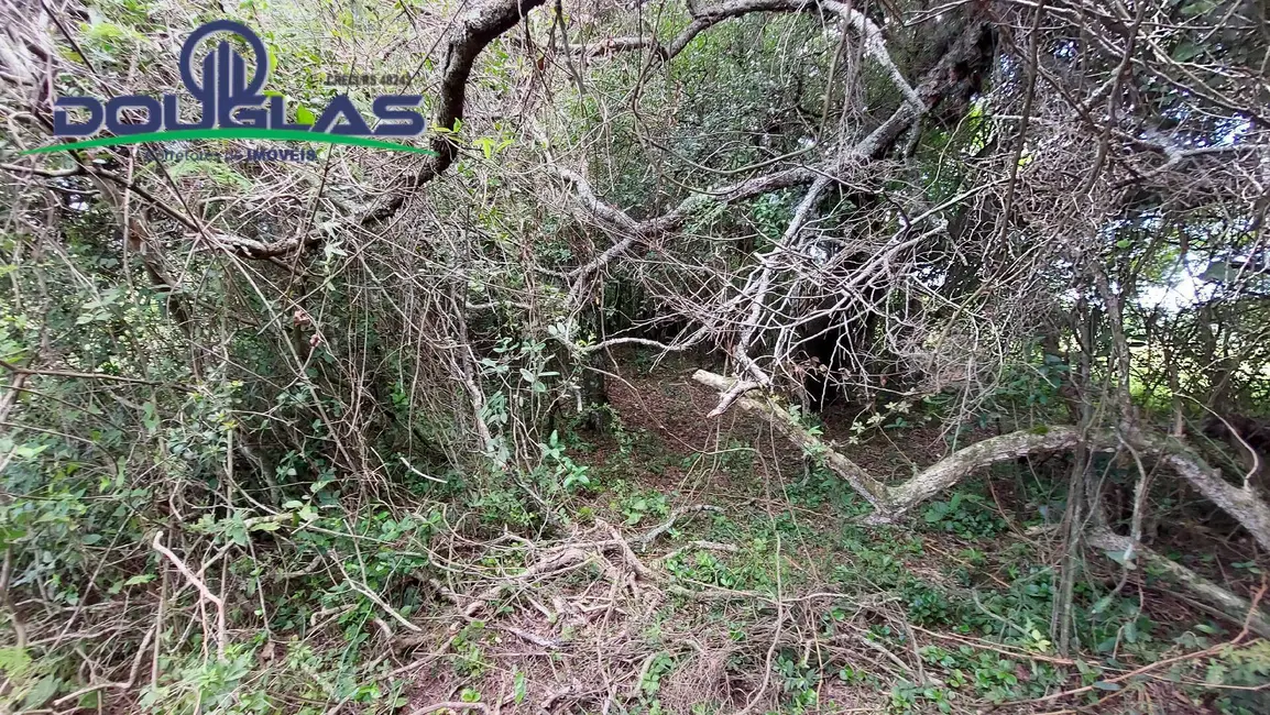 Foto 7 de Sítio / Rancho com 2 quartos à venda, 5000m2 em Viamao - RS