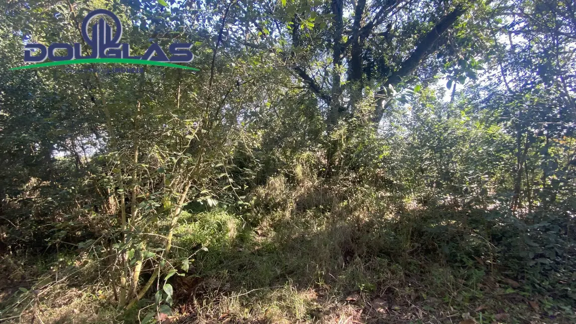 Foto 5 de Terreno / Lote à venda em Viamao - RS