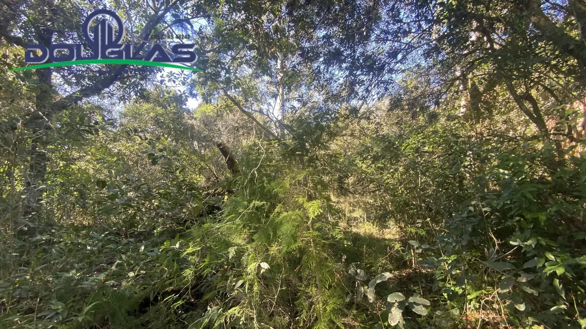 Foto 3 de Terreno / Lote à venda em Viamao - RS