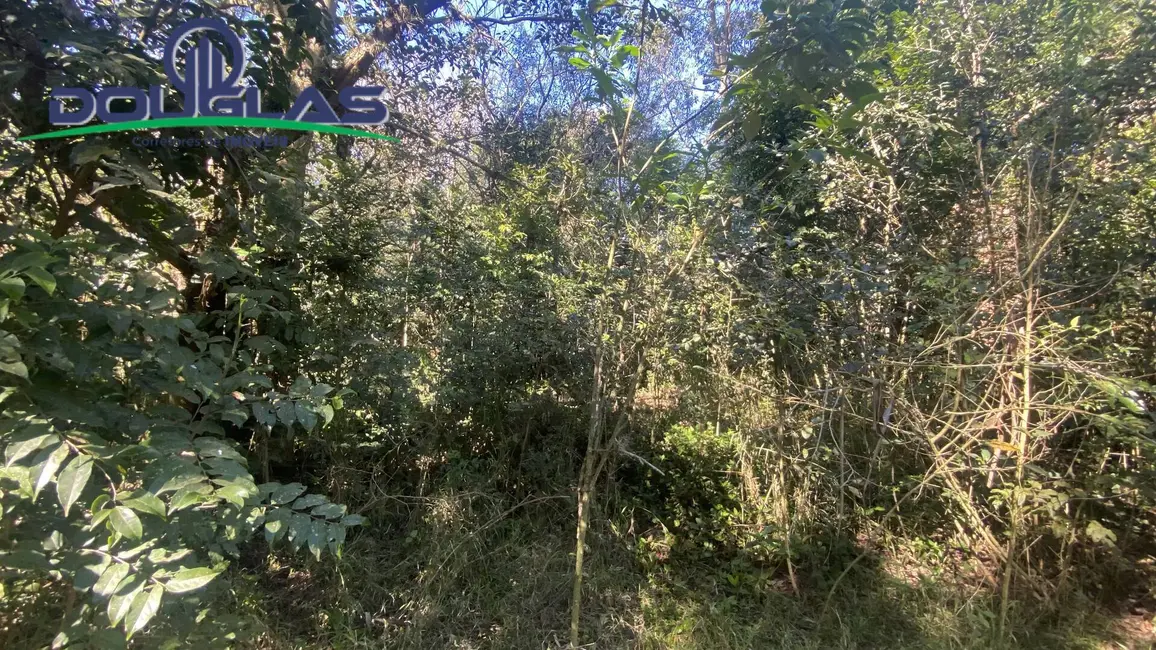 Foto 6 de Terreno / Lote à venda em Viamao - RS