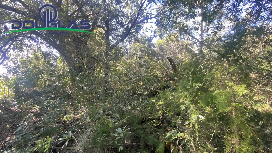 Foto 4 de Terreno / Lote à venda em Viamao - RS