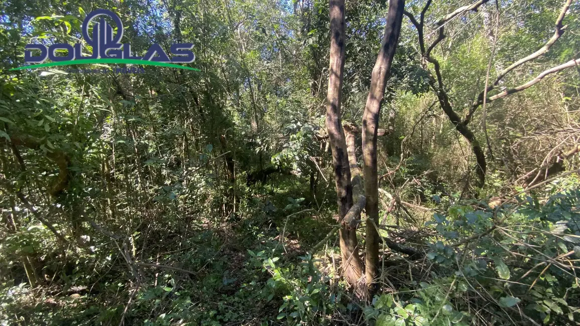 Foto 2 de Terreno / Lote à venda em Viamao - RS