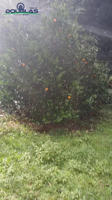 Foto 6 de Casa com 2 quartos à venda, 500m2 em Viamao - RS