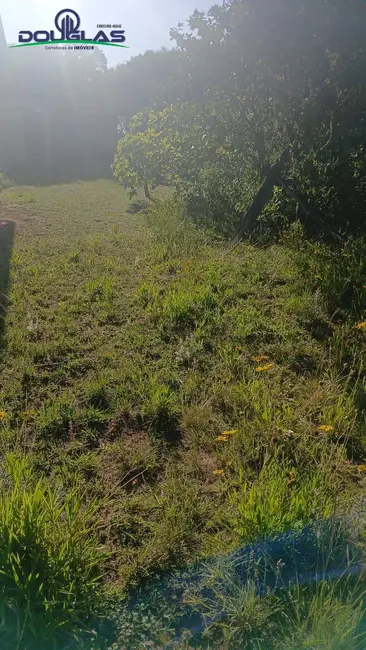 Foto 7 de Casa com 1 quarto à venda, 2400m2 em Viamao - RS