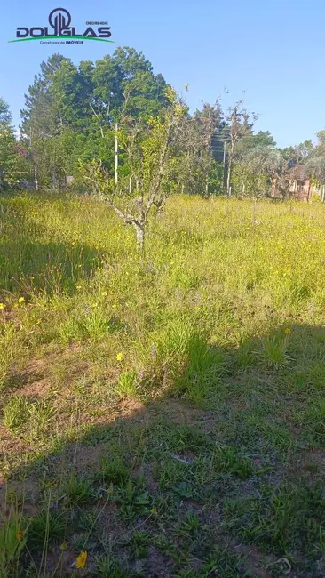 Foto 5 de Casa com 1 quarto à venda, 2400m2 em Viamao - RS