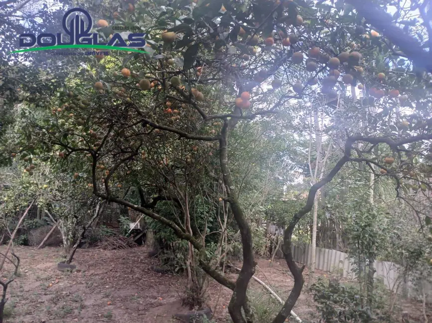 Foto 12 de Terreno / Lote à venda em Viamao - RS