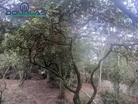 Imagem 12