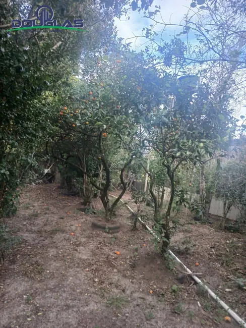 Foto 11 de Terreno / Lote à venda em Viamao - RS