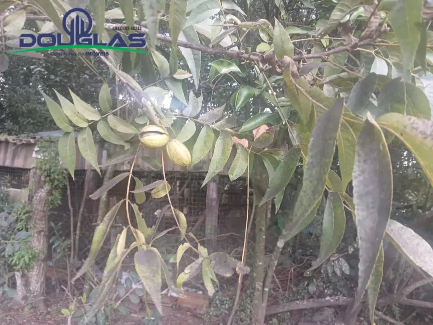 Foto 13 de Terreno / Lote à venda em Viamao - RS