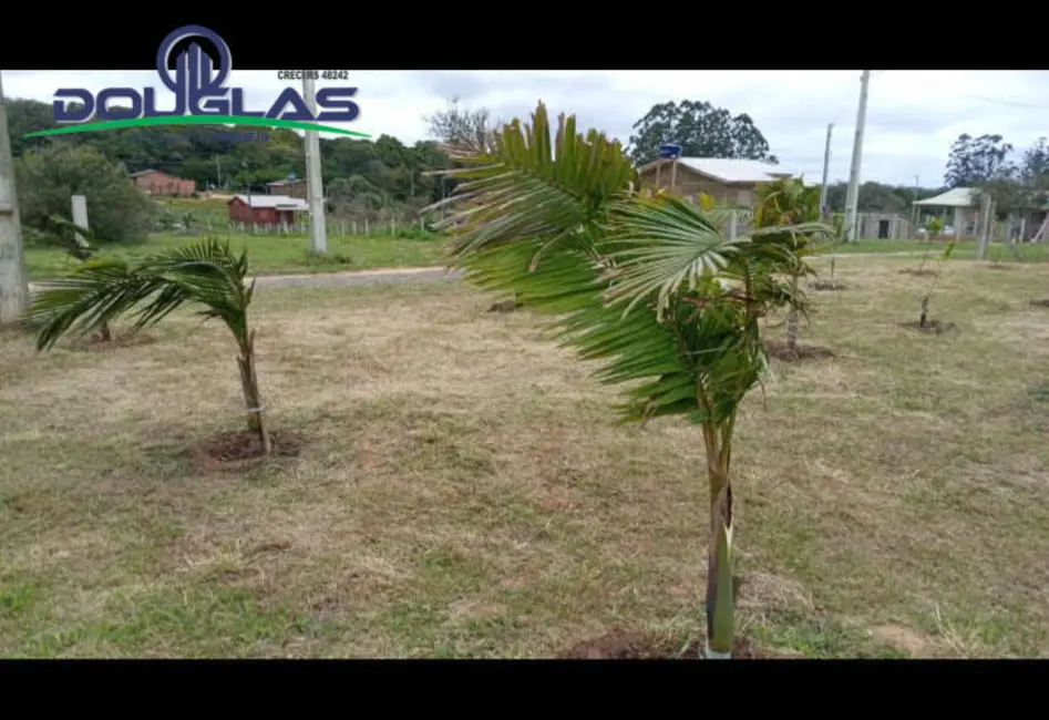 Foto 5 de Terreno / Lote à venda, 950m2 em Viamao - RS