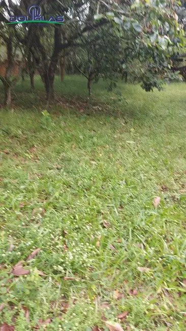 Casa com 1 quarto à venda, 1090m2 em Viamao - RS - imagem 8 Foto 8 de Casa com 1 quarto à venda, 1090m2 em Viamao - RS